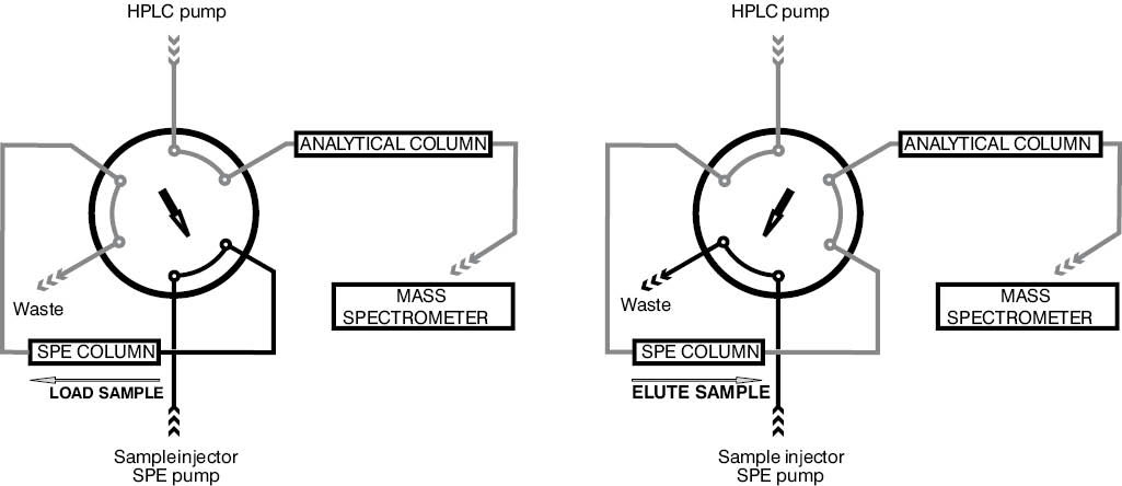 171_Seger_C._Griesmacher_A._Slika_3