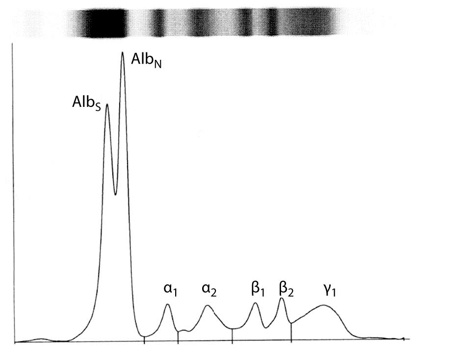 19-1_Simundic_AM._et_al._Figure_1