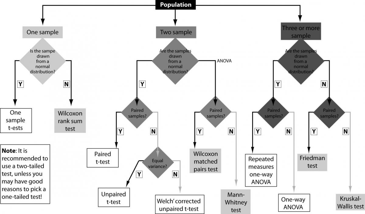 Marusteri_M._Statistical_test_selection_when_comparing_groups_Fig._4