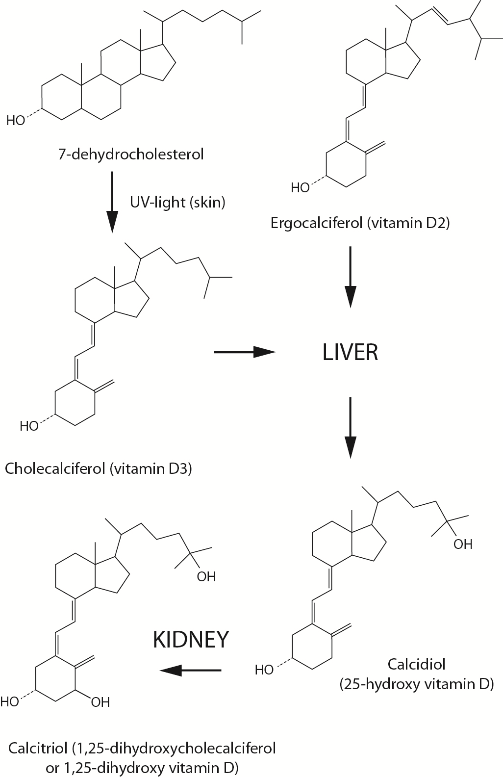 https://www.biochemia-medica.com/assets/images/upload/xml_tif/bm-27-3-030501-f1.png