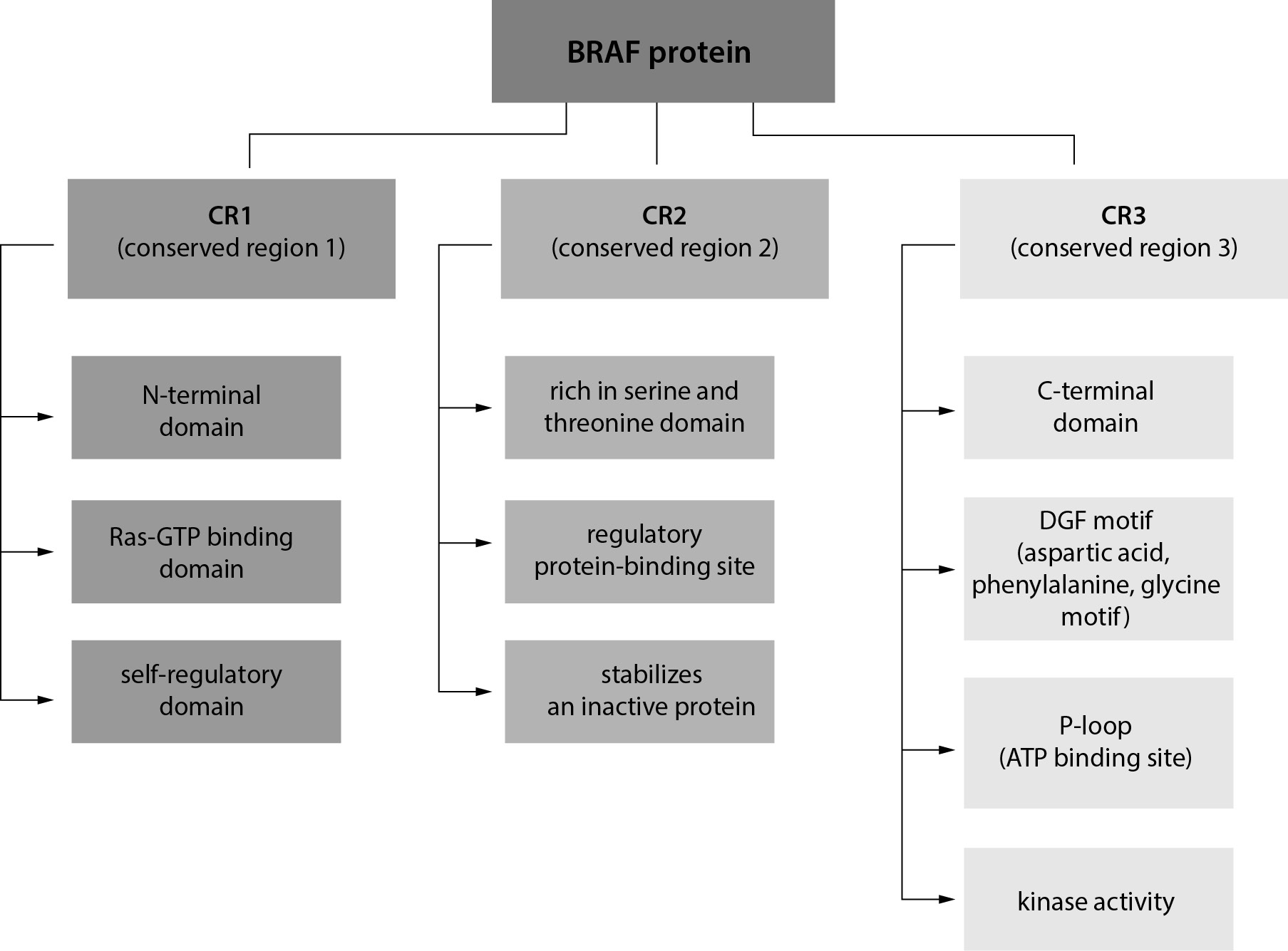 https://www.biochemia-medica.com/assets/images/upload/xml_tif/bm-34-2-020502-f1.png