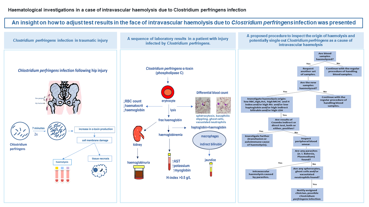 https://www.biochemia-medica.com/assets/images/upload/xml_tif/bm-34-2-021001-g1.png