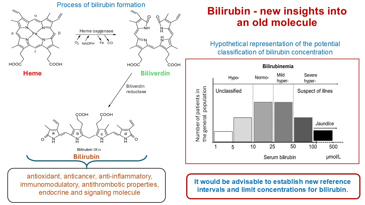 does glutathione lower bilirubin Bilirubin is an Endogenous Antioxidant in Human Vascular Endothelial Cells